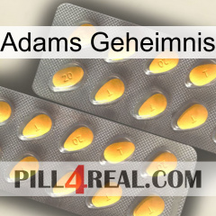 Adams Secret cialis2